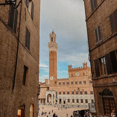 The Cozy In * Siena